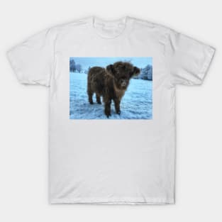 Scottish Highland Cattle Calf 1877 T-Shirt